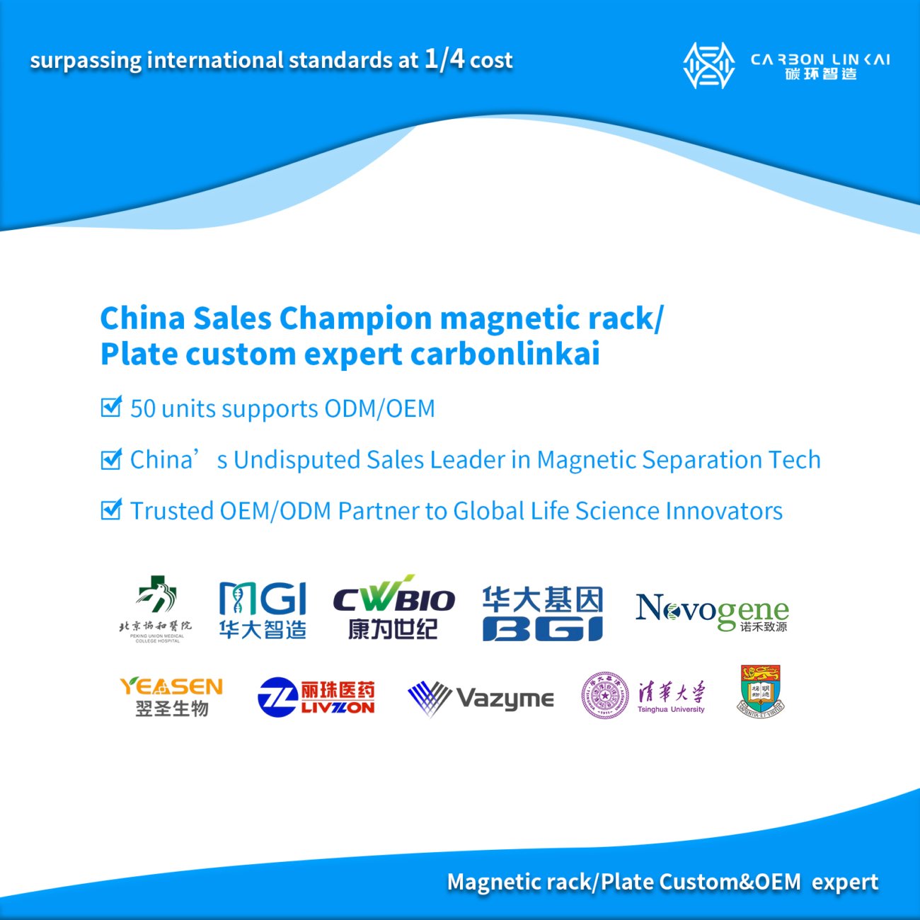 Magnet Sales Rack China Sales Champion magnetic magnetic rack OEM expert carbonlinkai 15 ...
